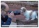 Thumbnail-13