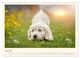 Thumbnail-10