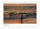 Thumbnail-14