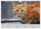 Thumbnail-11