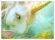Thumbnail-14