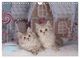 Thumbnail-14