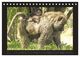 Thumbnail-9