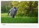 Thumbnail-11