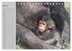 Thumbnail-10