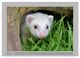 Thumbnail-8