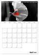 Thumbnail-9