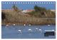 Thumbnail-11