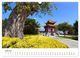 Thumbnail-11