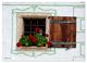 Thumbnail-9
