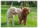 Thumbnail-9