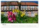Thumbnail-8