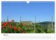 Thumbnail-10