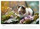 Thumbnail-11