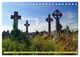 Thumbnail-10