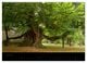 Thumbnail-8