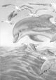 Thumbnail-10