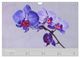 Thumbnail-12