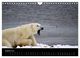 Thumbnail-13