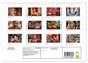 Thumbnail-7