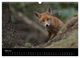 Thumbnail-10