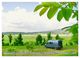 Thumbnail-8