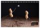 Thumbnail-14