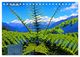 Thumbnail-8