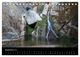Thumbnail-14