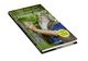 Thumbnail-2