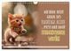 Thumbnail-11