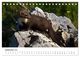 Thumbnail-14