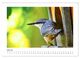 Thumbnail-9