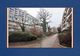Thumbnail-12