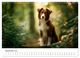 Thumbnail-11