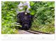 Thumbnail-12