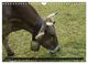 Thumbnail-13
