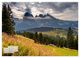 Thumbnail-9