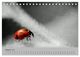 Thumbnail-10
