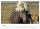 Thumbnail-12