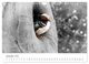 Thumbnail-14