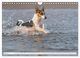 Thumbnail-9