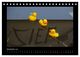 Thumbnail-14