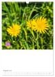 Thumbnail-11