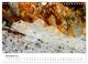 Thumbnail-13