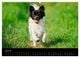 Thumbnail-12