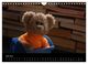 Thumbnail-11