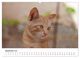 Thumbnail-10