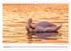 Thumbnail-14