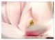 Thumbnail-11